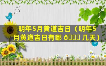 明年5月黄道吉日（明年5月黄道吉日有哪 🐋 几天）